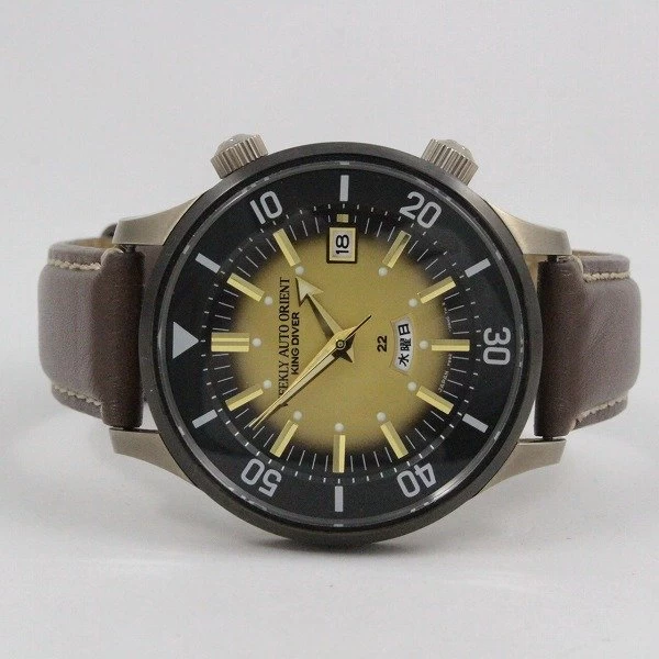 Orient Survival King Diver 70th Anniversary Reprint Limited Edition Self-Winding RN-AA0D14G with Bag