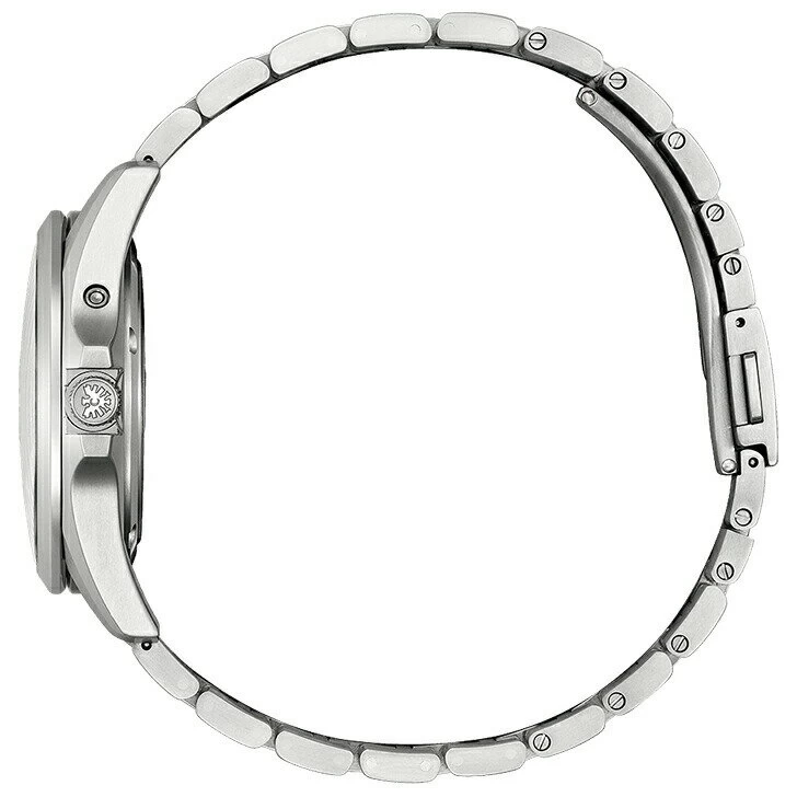 [Luxury Box Present] The Citizen Japanese Paper Dial Solar Titanium AQ4091-56E (60 times no interest)
